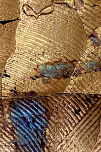 Goldbild, Ostwind 2018, Detailansicht