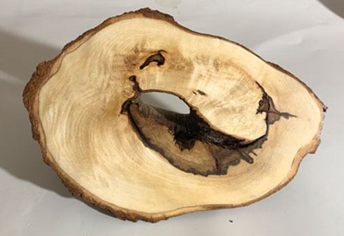 Holzskulptur, Baumscheibe 2019 · 20x15 cm